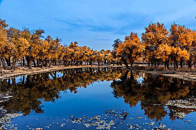 《Apex 英雄》官方发布虚拟偶像 三位英雄率先登场